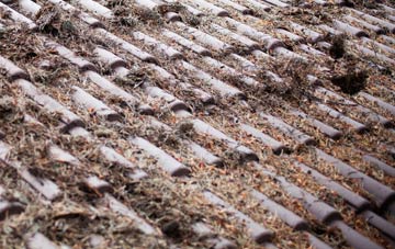 Sandy roof cleaning companies
