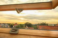 rated Sandy roof window companies